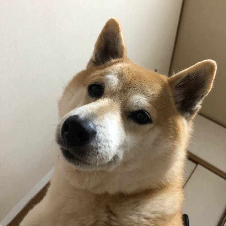 Eaac38d1 43c0 4ccf afc3 88c9d22cc079 1552605020260