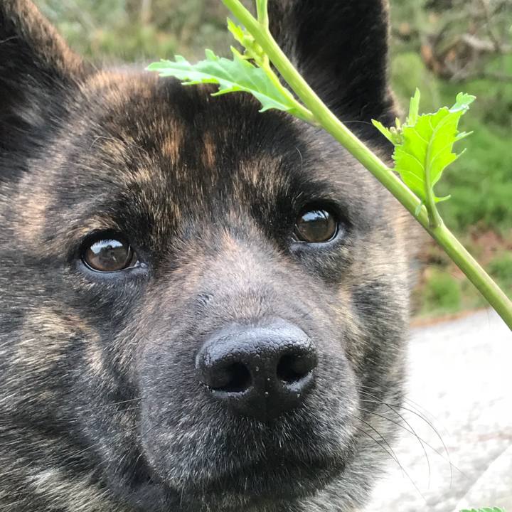 Eaac4bda be7c 434b ae3b 73d311cfc446 1523503678853