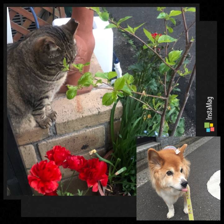 Eaac8e1e cbae 4467 b6f0 445717dc2eeb 1554015423184