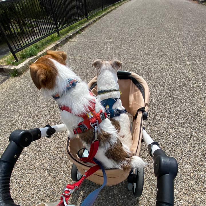 Eaacb12e 2977 4f62 be86 66d50472f0af 1678594147207