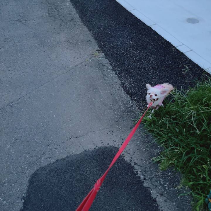 Eaacbba9 fd73 4c82 8fd6 85b8f29c1d96 1688643379526