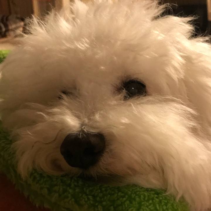 Eaacf9a3 c8bd 49fb 963e 89712df2da52 1541580944798