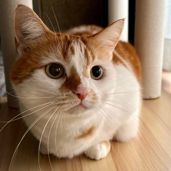 Eaad1927 b58d 45c6 97b9 b34a8e54581a 1766201493152