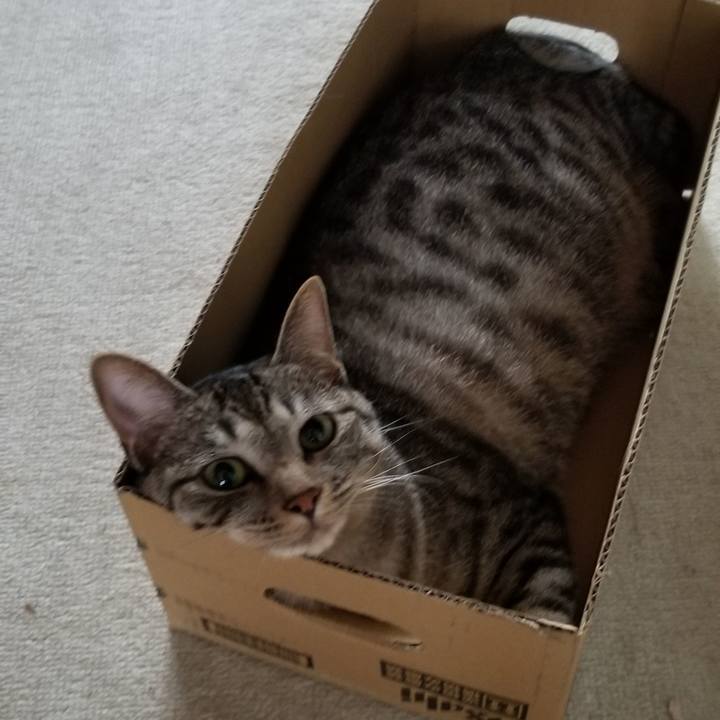 Eaad32df 1d16 4adc 80b2 6b6326482c14 1691309275004