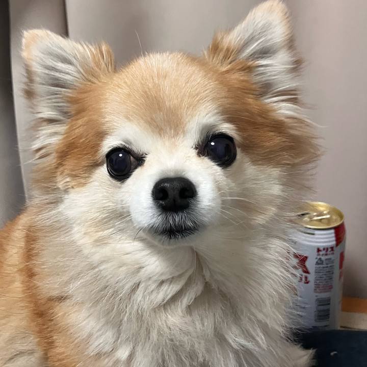 Eaad3875 d23a 4080 8bfc c0b3ae1a49f1 1770463058781