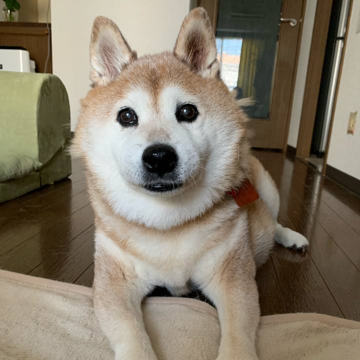 Eaad5320 1237 45d6 a5c0 3354ae982e8a 1599264015674