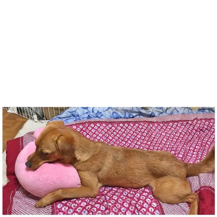 Eaad8080 685c 4e4e a207 81518ba94436 1527510845535