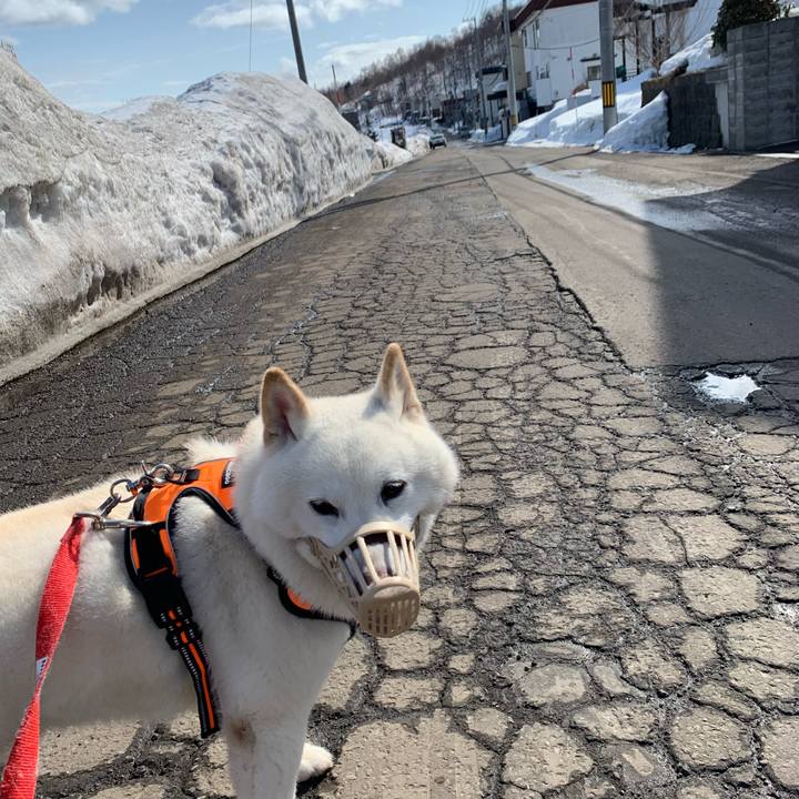 Eaadab31 6637 40de bf7b b0921ef1b54d 1615945373405