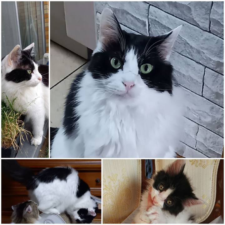 Eaadaf96 2755 4b6e 838f 41146f82b493 1620799581629