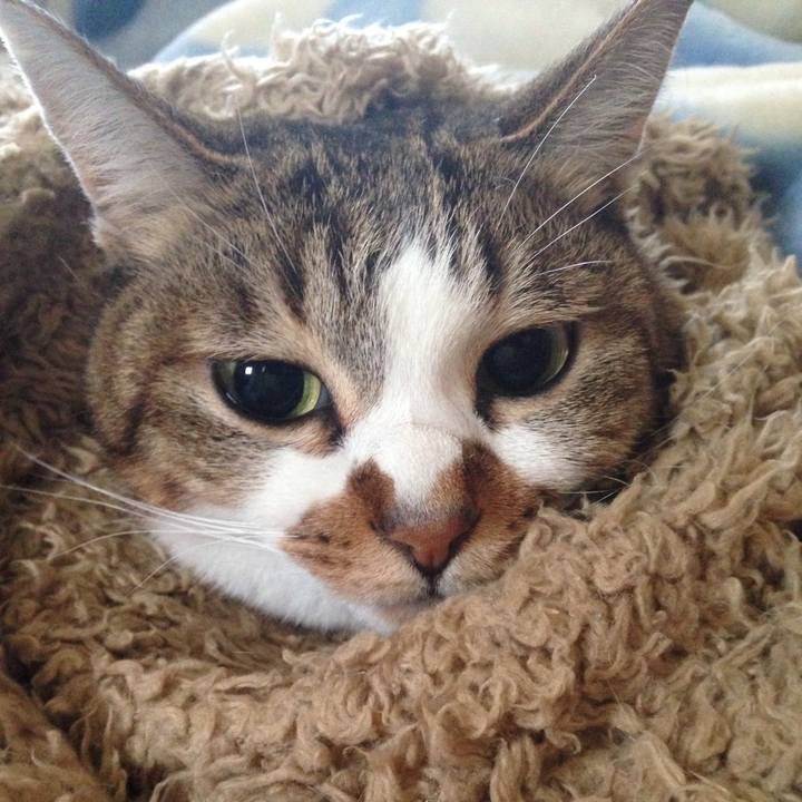 Eaadd5b0 1656 42c3 a286 9bfa5ec6092d 1519970486024