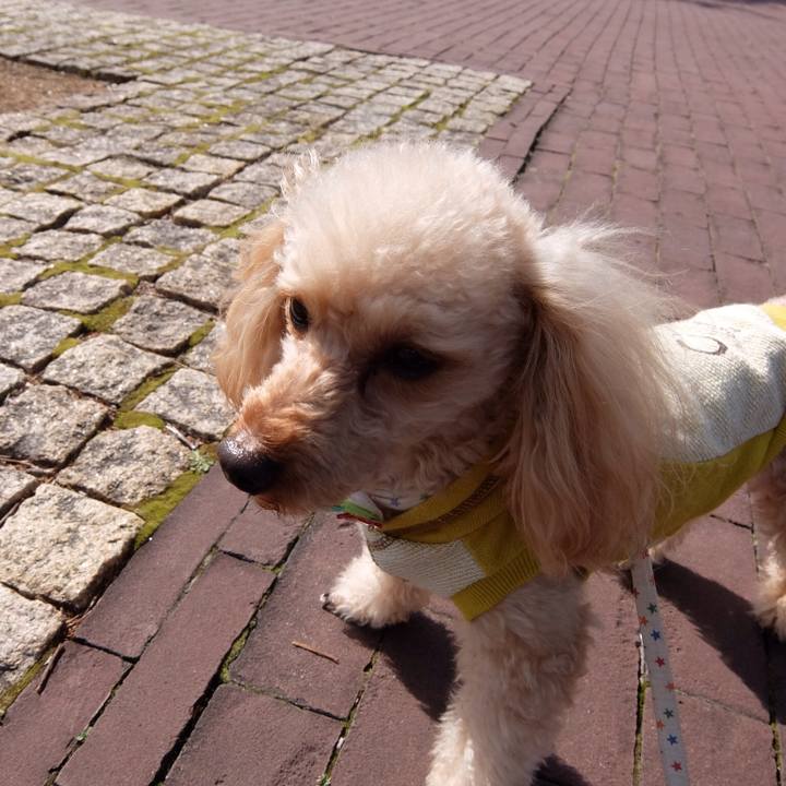 Eaaddb72 85dc 489b 9945 ba91589cfc5b 1519454250614