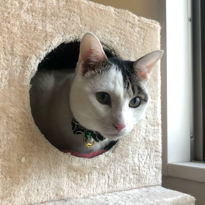 Eaade099 b8fc 4fe5 8b01 f4258d1049e5 1551006492975