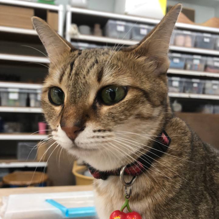 Eaae1e58 6884 4a79 9057 dddb45ccba71 1662628674736