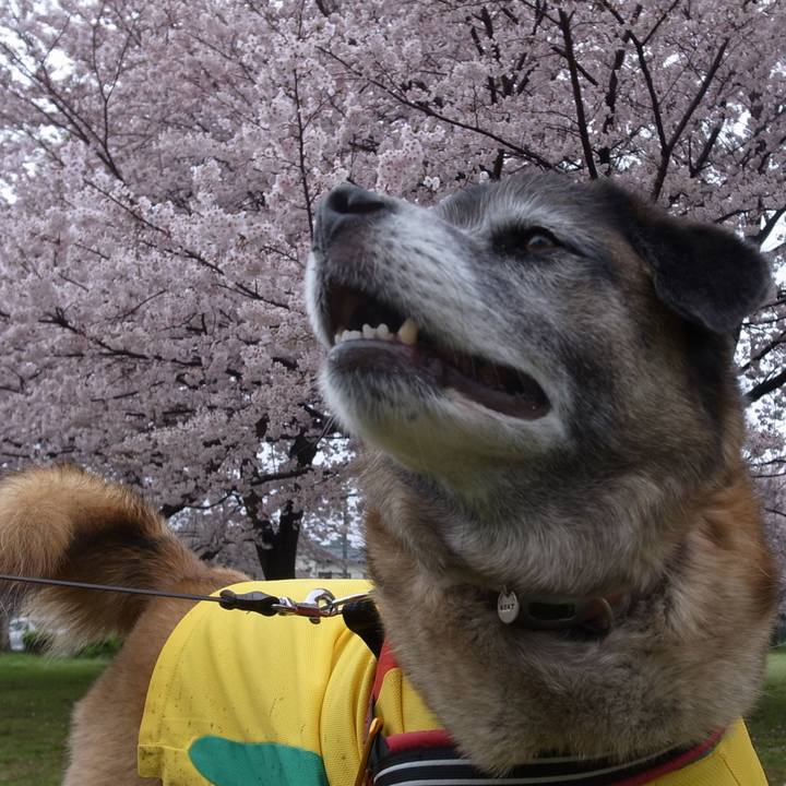 Eaae275a 4f01 4573 97af fc261e90545e 1602719453768