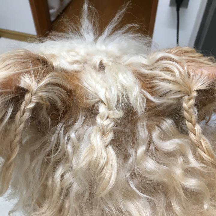 Eaae57e4 7e0c 453e 9183 de7daa50cb0c 1556104180288