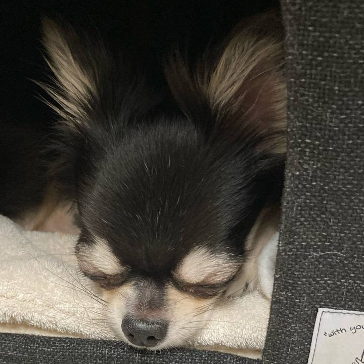 Eaae60bf 9494 4246 b872 91fb9ad5e040 1632063687564