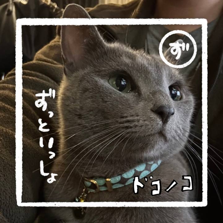 Eaae6145 8312 4bcf b99c 4c4d8e5e321c 1685949235071