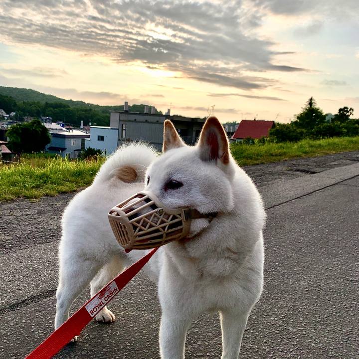 Eaaef067 758c 4fda ab07 f1be69f77095 1595105292669