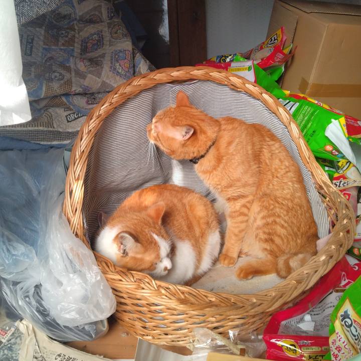 Eaaf08d6 5b83 419e 829f 587aa9260e60 1766123827672