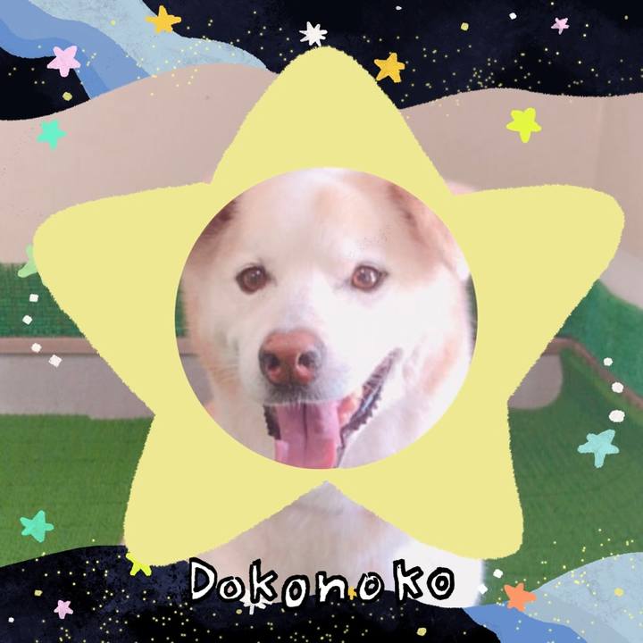 Eaaf3123 7638 4ec6 a02b 5eaccc737767 1721196219833