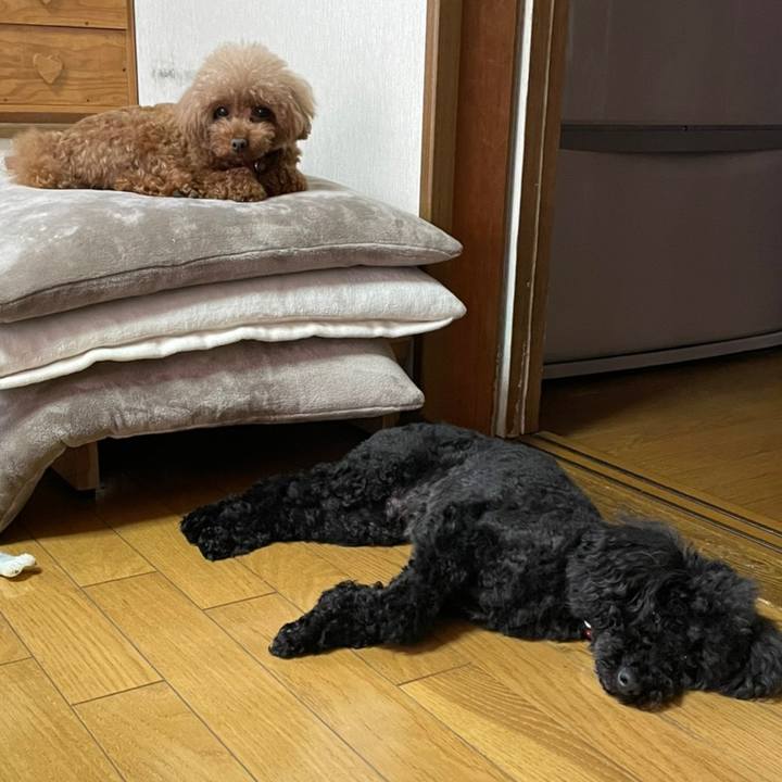 Eaaf3c48 a1fd 4731 a19c 79f643955315 1622972470023