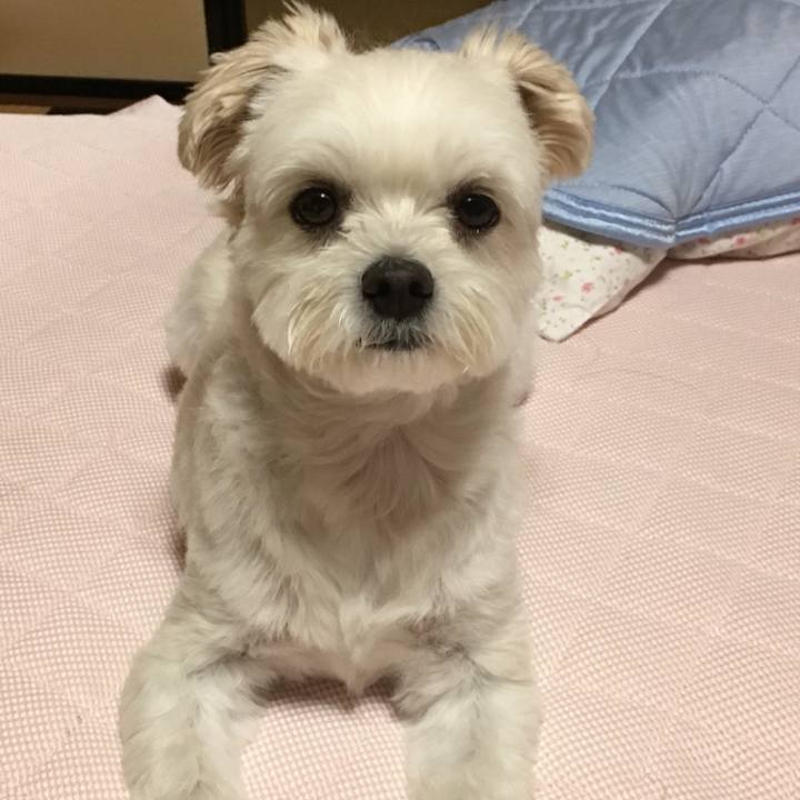 Eaaf5c12 d939 4f67 9b07 c31c0517e2ec 1531909043673