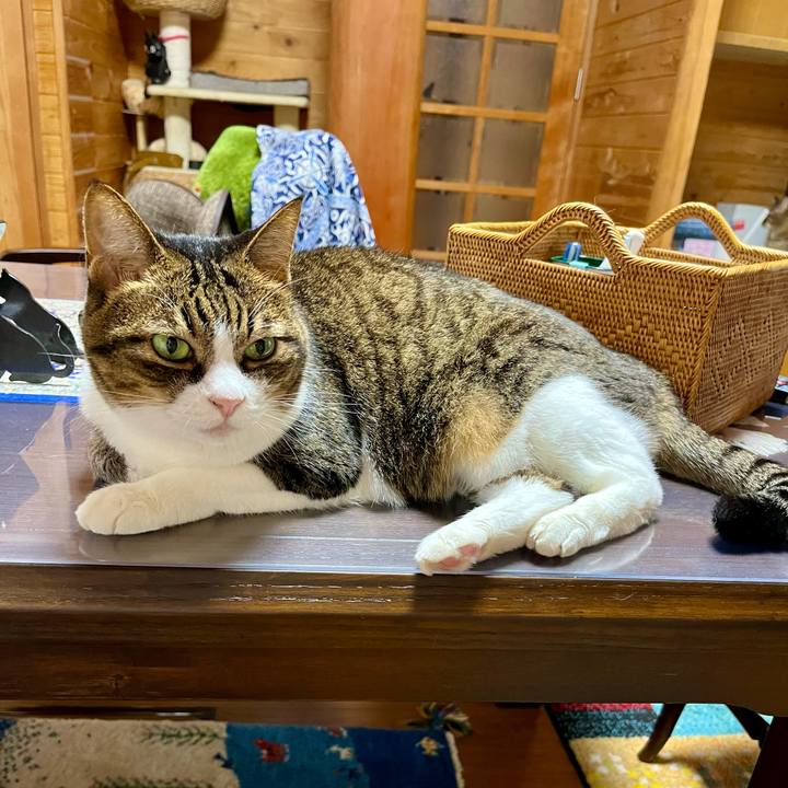 Eaaf96ac bf9e 4cbb b1ef cf72f02927fe 1693898915060