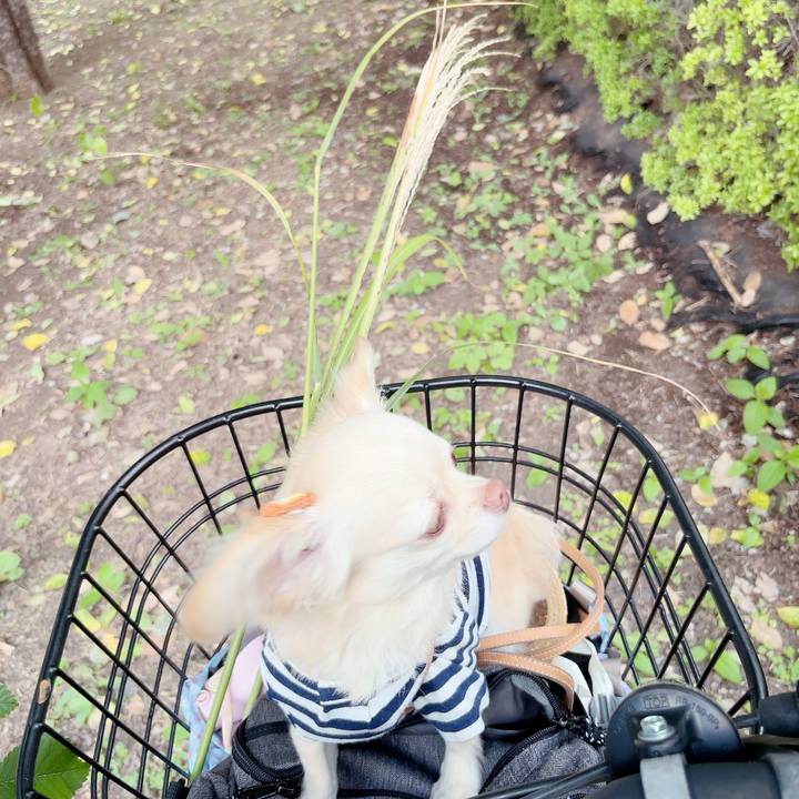 Eaaf980c e1f8 4740 8aad b23f20c60cb2 1695976923875