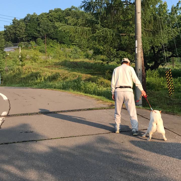 Eaafa535 5d60 44be 8ebd 92d83733ed6d 1533204560469