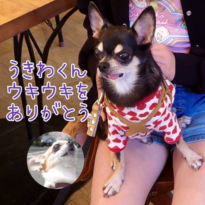 Eaafc929 bb4e 4a58 9713 404932d22534 1713414879522