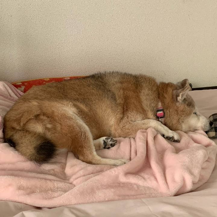 Eaafff92 0813 4c07 8370 65fd15b2c93d 1660536584799