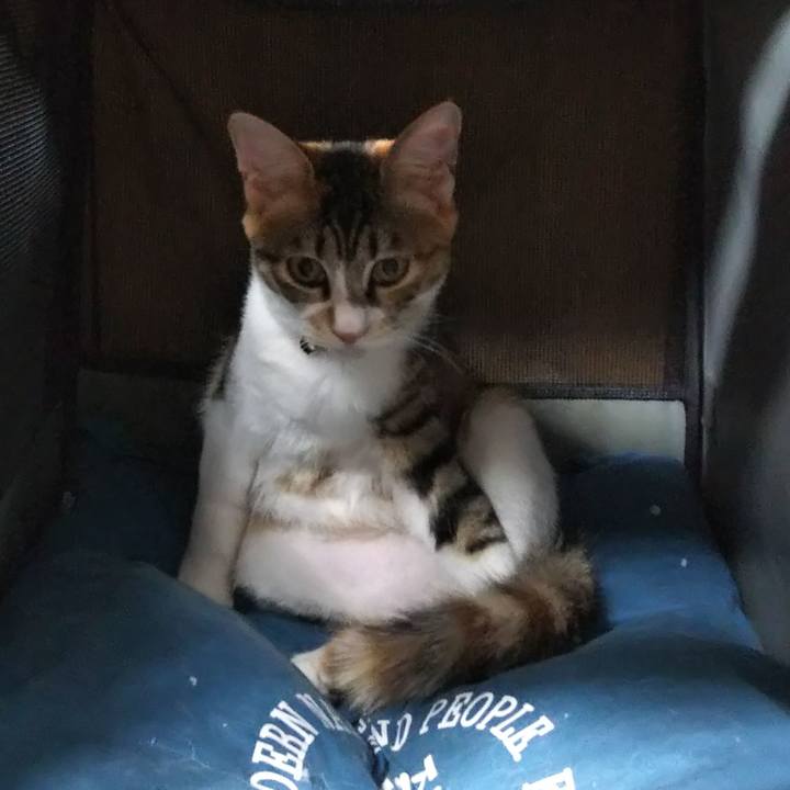 Eab00f1d f7b5 4f22 96ff 0d78dbbeb593 1636448029606