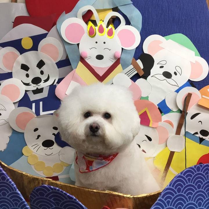 Eab03e3f a9f3 493d a5d3 15ed0f020509 1577869248336