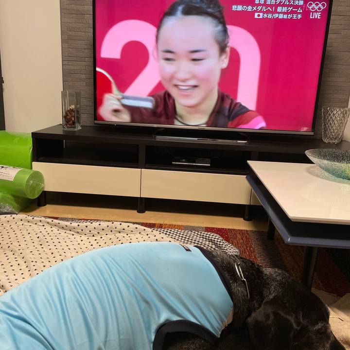 Eab04458 4b58 423f a56a 58ed1bcdb3fd 1627305907208