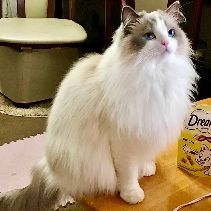 Eab079bc 3adf 476e 8106 9d9a21dbc001 1639123497003