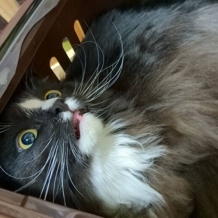 Eab07f8b 5138 482a bdd7 0a7d908ae9ca 1670585925900