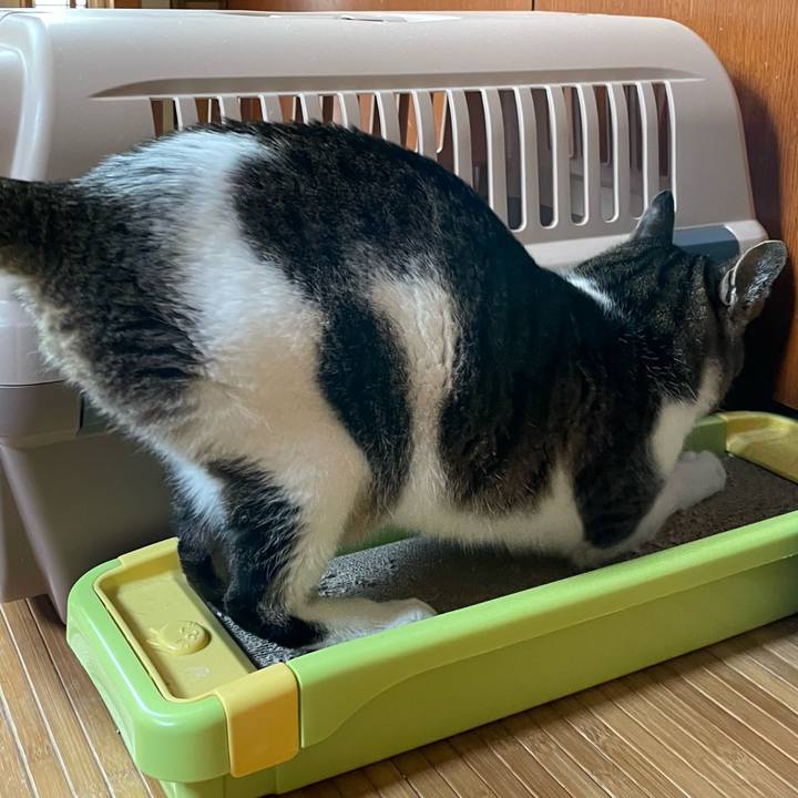 Eab09bcf 3f34 4892 a254 361e6647abe3 1647224401596