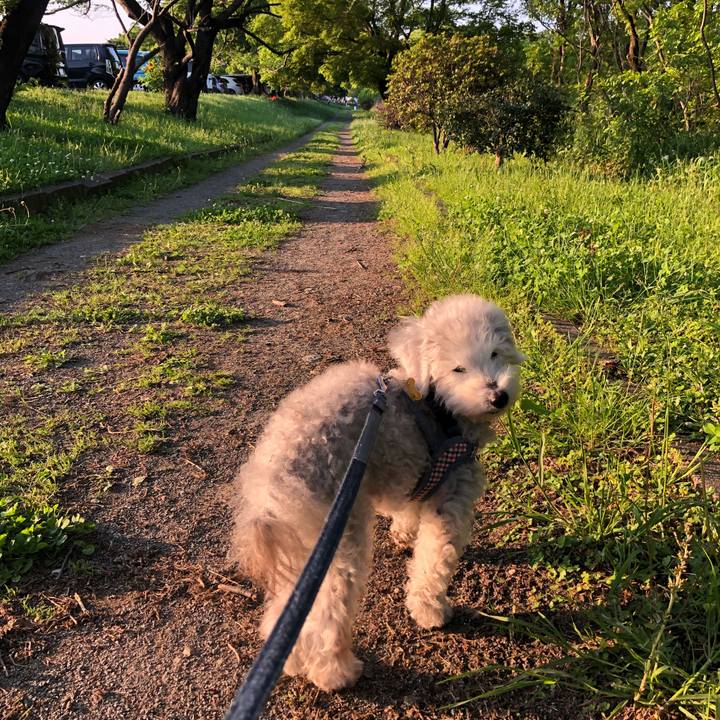 Eab0b85f 441e 4e6f a1e4 93c6d41de35d 1703203439416