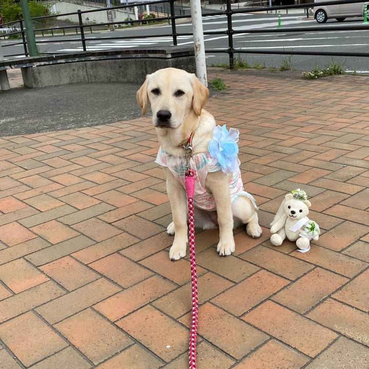 Eab0f889 6910 4f0f 8afe f3b9021bcce4 1619870950646