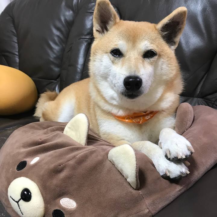 Eab0fc97 3559 436b a1e2 ac91f96a5e20 1510010599335