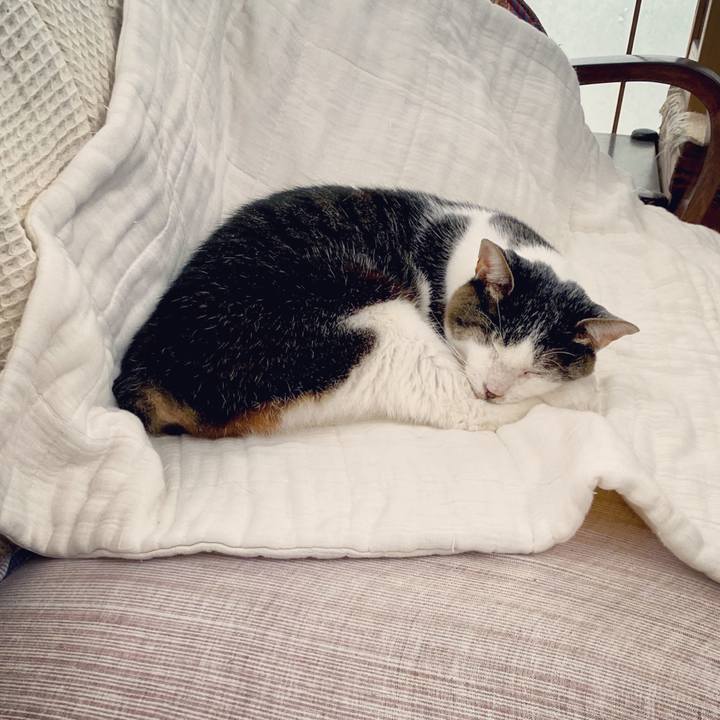 Eab139ab e58d 4285 a376 f03f1ecebbe5 1599729562162