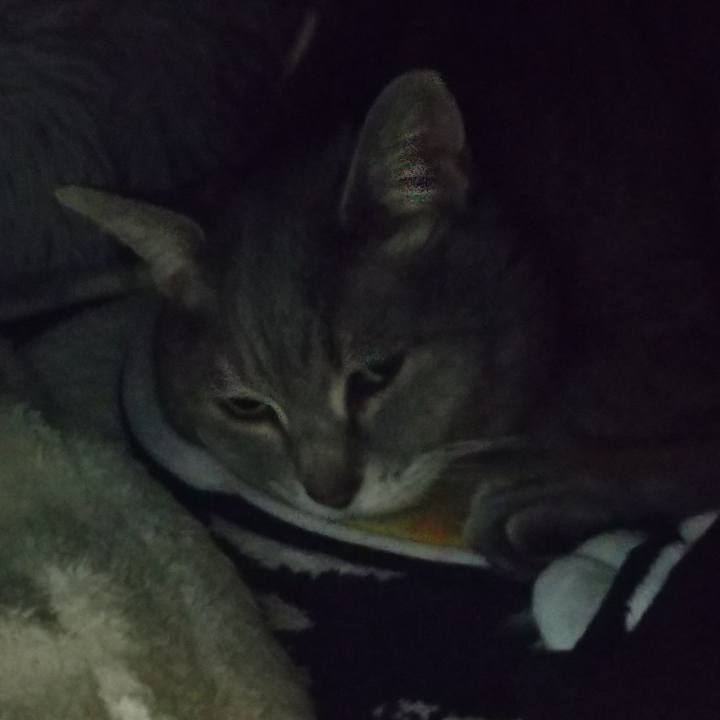 Eab1978b 035a 4a38 a597 421a095b9b60 1649089442762