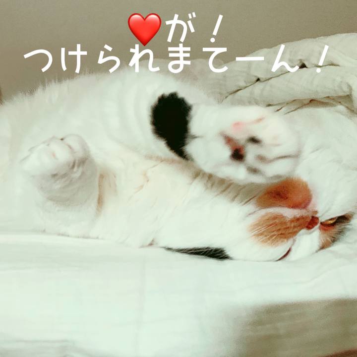 Eab1c962 fb42 4516 9917 6b9ef7089819 1574757675331