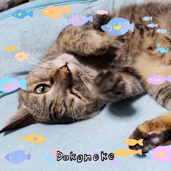 Eab1cd40 dd78 4bca 8123 0e617ce352ff 1755085024675