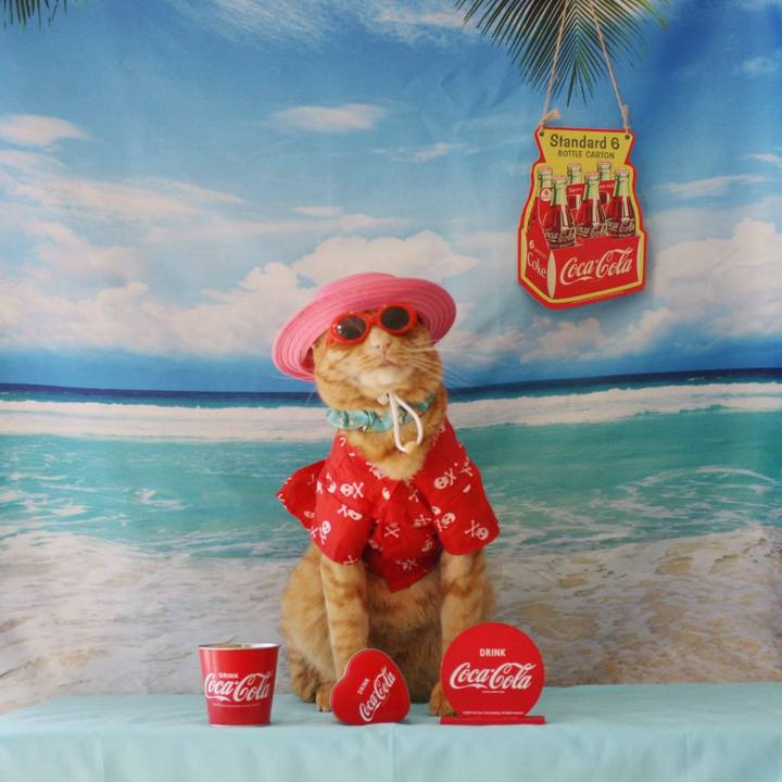 Eab1ff06 0d1c 4854 b66e fb142abc5665 1755688772402