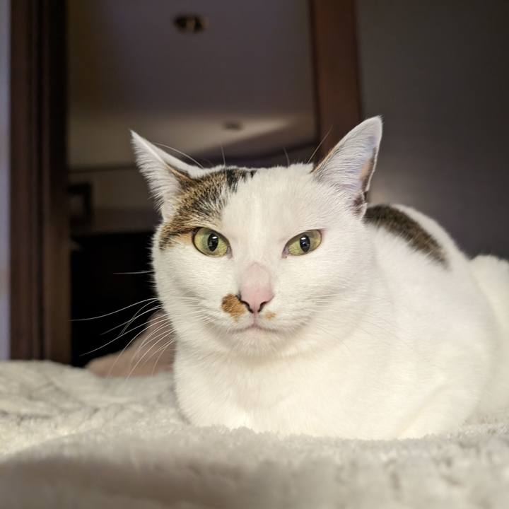 Eab20595 d5af 4ad6 ae71 a9340f1983e3 1704546986330