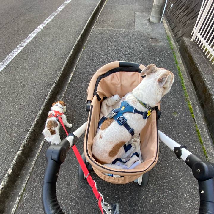 Eab209a7 5a4b 4e08 8d0c a7038cc0cd73 1672458675878