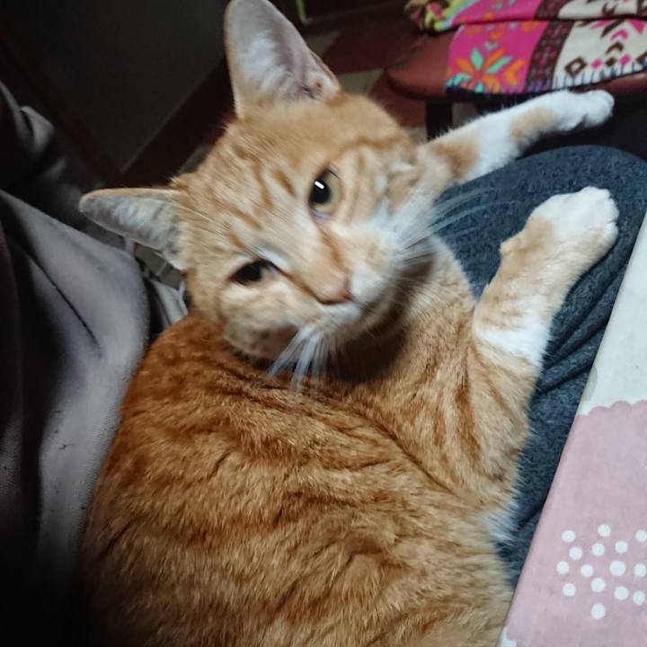 Eab27f57 395e 45e8 ac76 9552e1c7253c 1577220944699