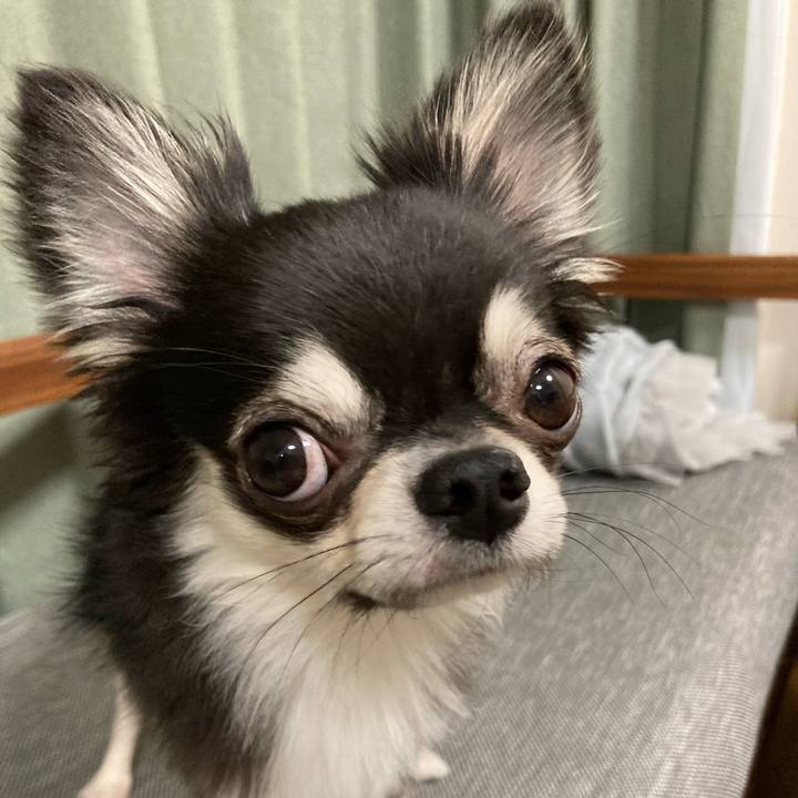 Eab28862 8449 458b 9073 30c8c0e0a7e3 1628344268199