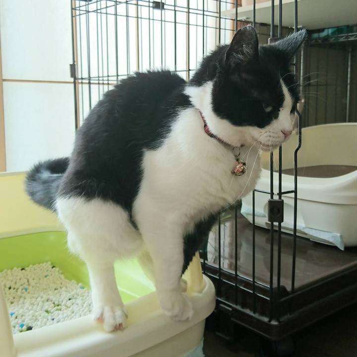 Eab2cca1 44df 4670 bd93 54ae2b210829 1595457767353